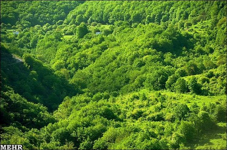 Photo: عکس های جنگل های انبوه ارسباران در استان آذربایجان