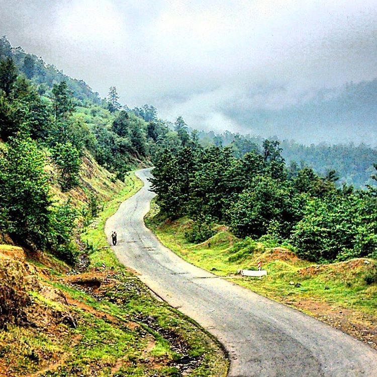 Photo: عکسی زیبا از جاده ی جنگلی بلوردکان،املش،گیلان