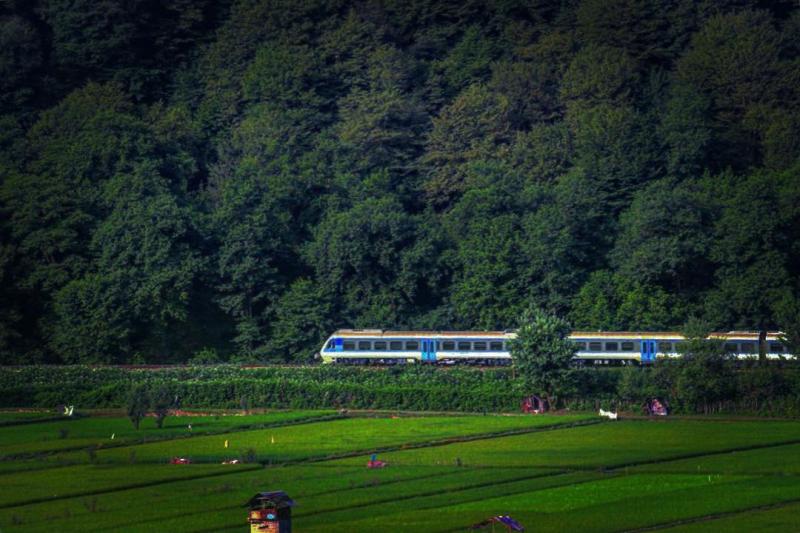 Photo: مسیر قطار شمال در کنار شالیزارهای زیبا