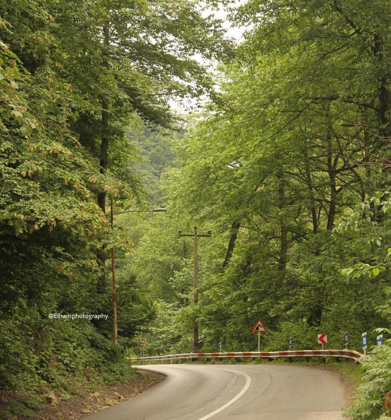Photo: جاده زیبا در دل جنگل ، زیارت ، گلستان