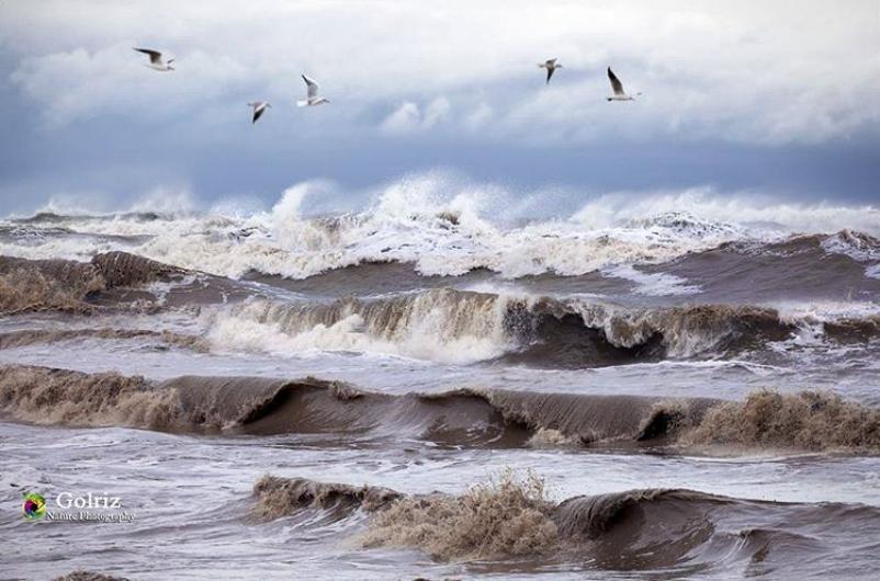 Photo: یک روز طوفانی در کنار ساحل خزر