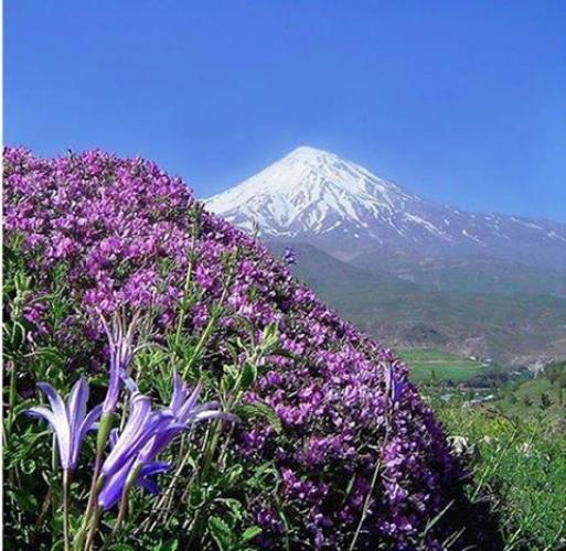 Photo: عکس زیبا از بام ایران ، قله دماوند