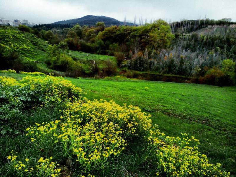 Photo: طبیعت زیبا و سبز گرگان ، گلستان