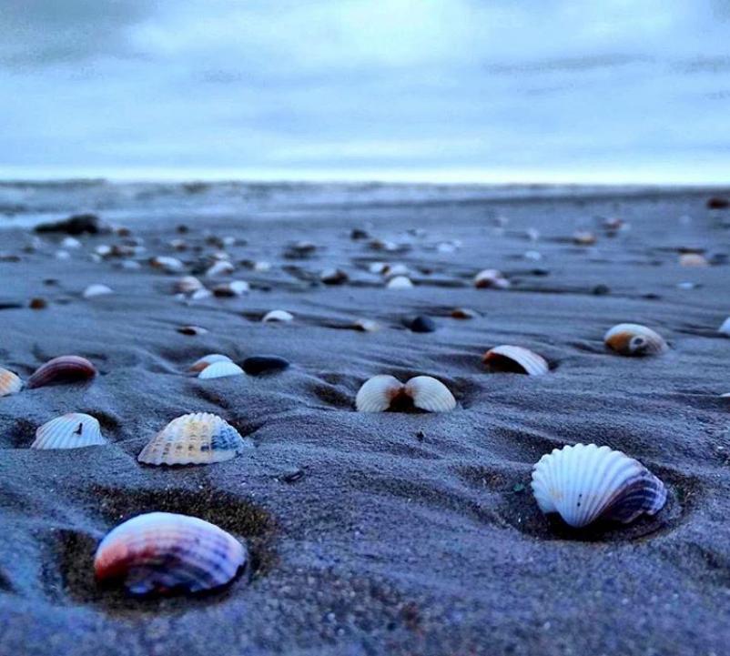 Photo: عکس زیبا از ساحل زیبای دریای خزر 