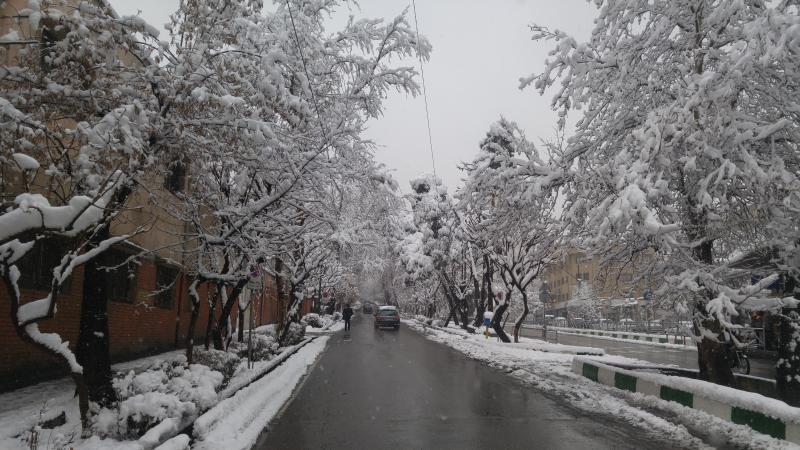 Photo: Vali asr street in snowy day