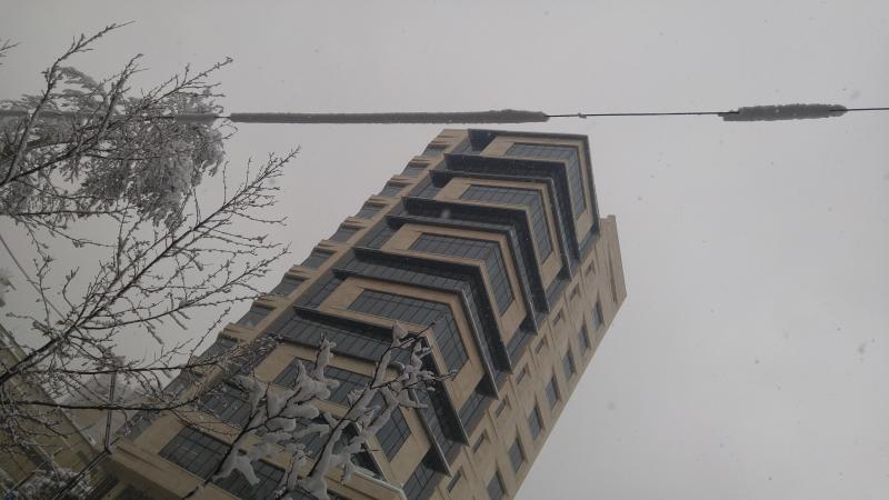 Photo: Tehran snow