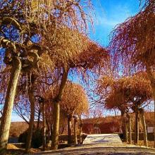 باغ قلعه تاریخی اعظمی های شهر وَزوان،اصفهان