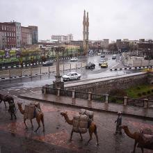 عبور شترها از خیابان شهر ، تبریز ، پل قاری