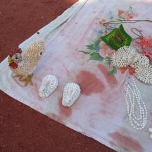 Hormoz handicrafts with oyster
