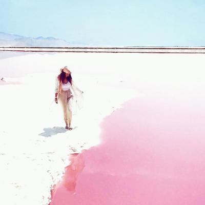 Travel to Maharloo pink lake near Shiraz of Iran