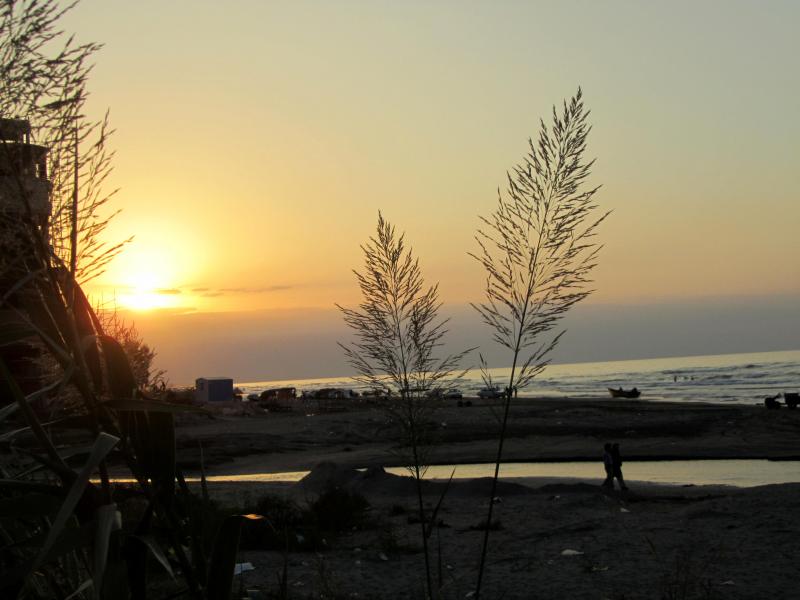 Photo: غروب خورشید - ساحل دریای خذر