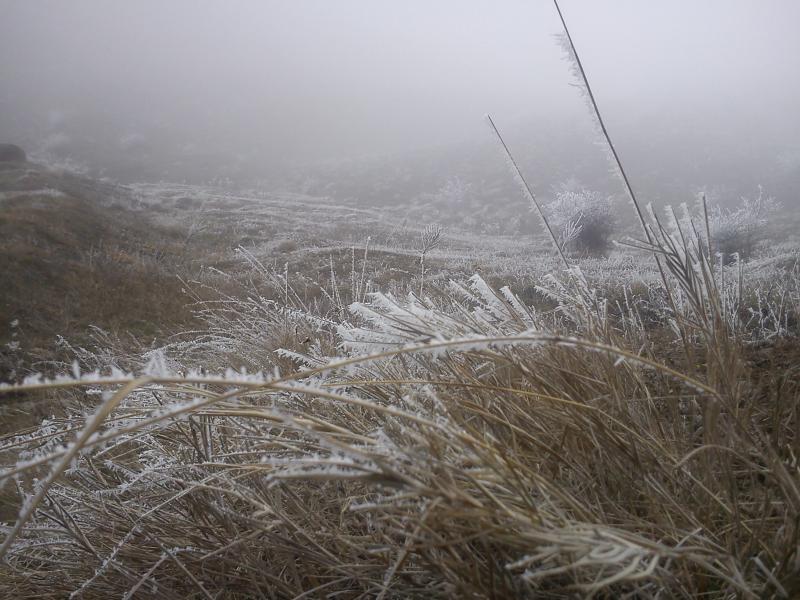 Photo: جدال مه و سرما