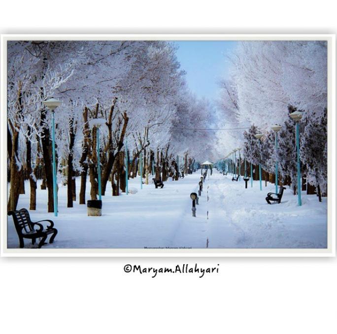 Photo: عکس زیبا از یک روز برفی 