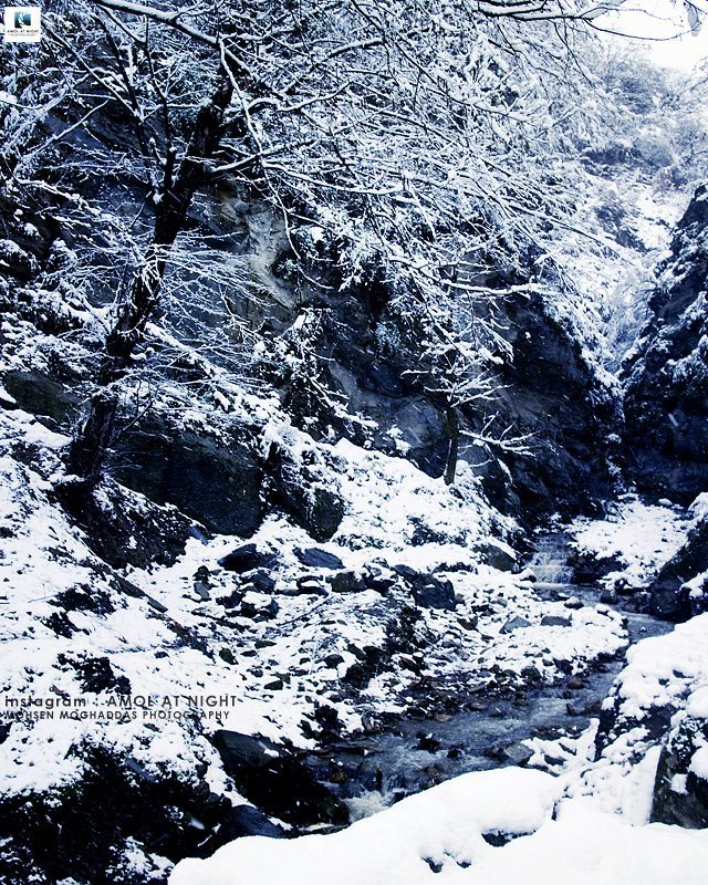 طبیعت زیبای برفی،چلاو - سنگچال، نزدیکی آمل،مازندران