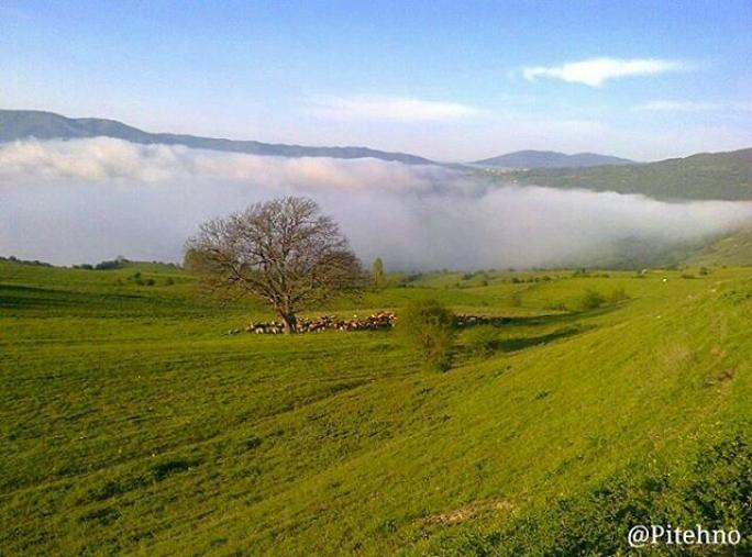 طبیعت روستای استارم مازندران،بر فراز ابرها