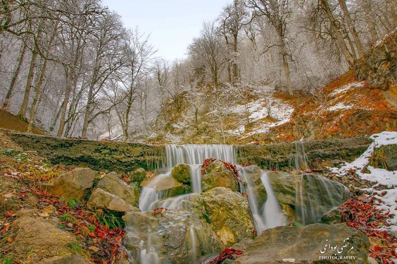 Photo: عکس زیبا از زمستان جنگل دالخانی ، مازندران