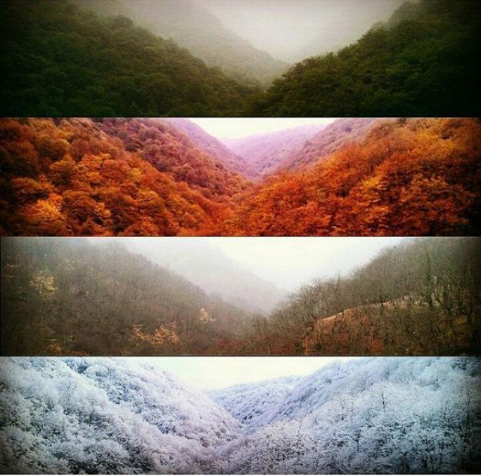 چهار فصل جنگل مازندران