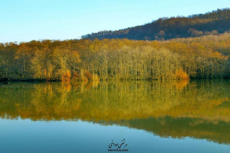 عکس زیبا از جنگل در کنار دریاچه،مازندران 