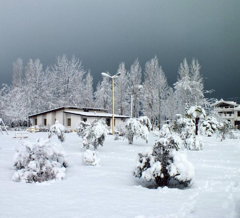 Photo: زمستان برفی،فریدون کنار،مازندران