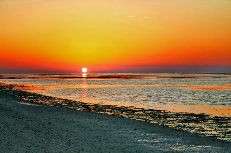 Photo: عکس زیبا از طلوع خورشید،ساحل جزیره ی کیش