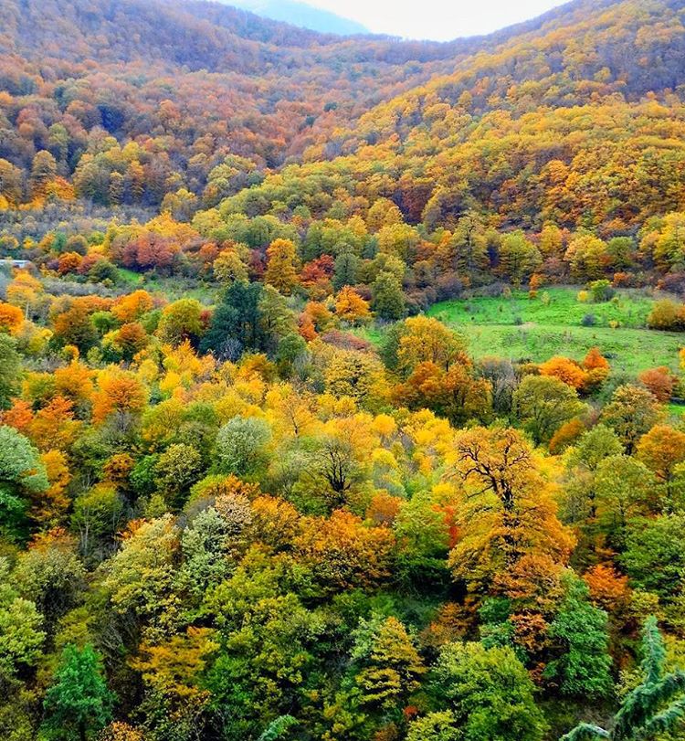 Photo: پاییز هزار رنگ جنگلهای سوادکوه