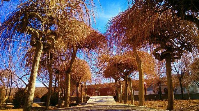 Photo: باغ قلعه تاریخی اعظمی های شهر وَزوان،اصفهان