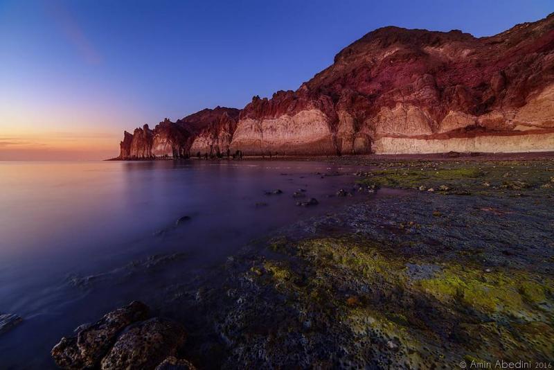 عکسی زیبا از پافیلی در سواحل خلیج فارس،قشم