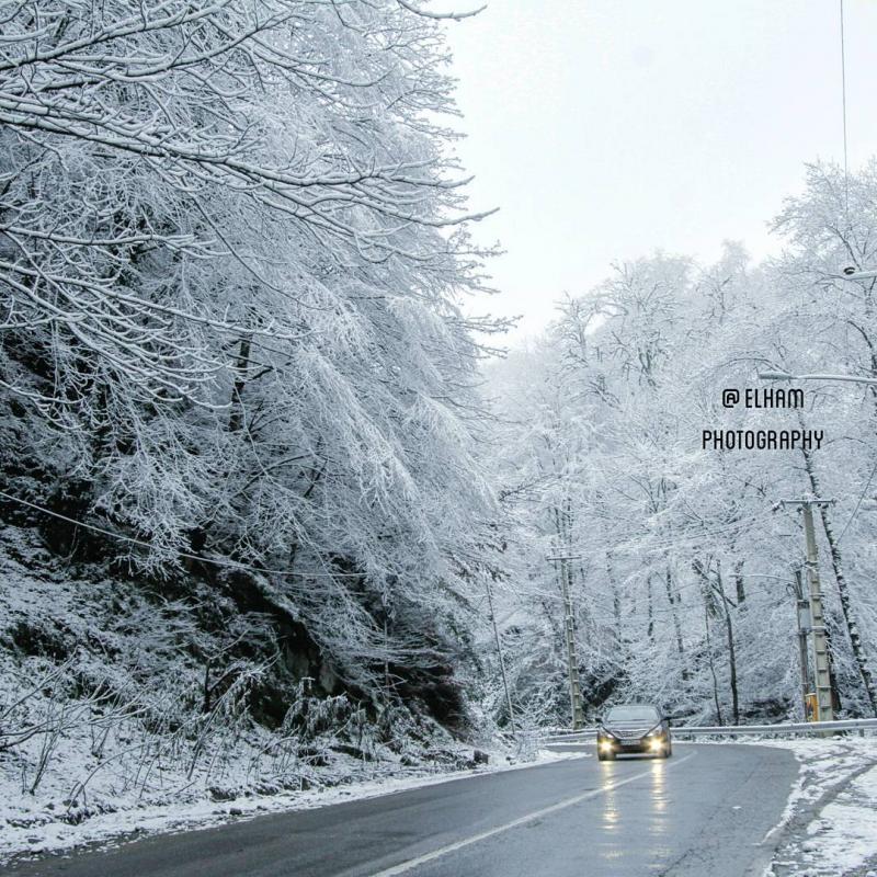 جاده جنگلی برفی زیبا ، شمال ، مازندران
