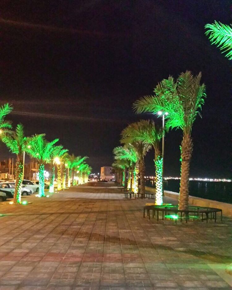 عکس از پارک ساحلی بوشهر در شب