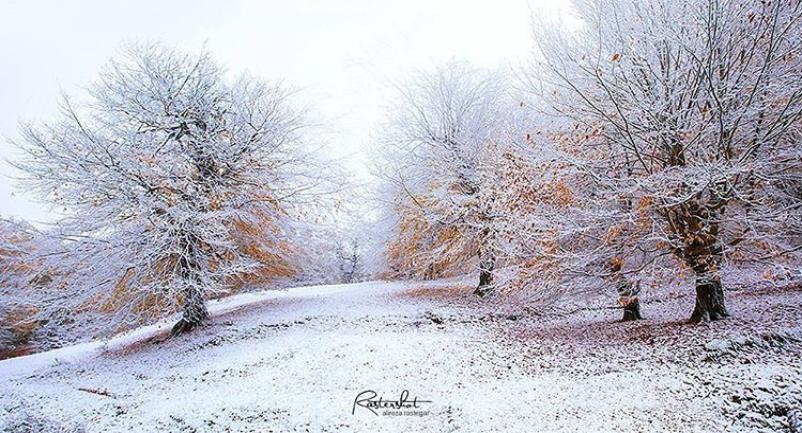 عکس زیبا از طبیعت زمستانی عباس آباد ، مازندران