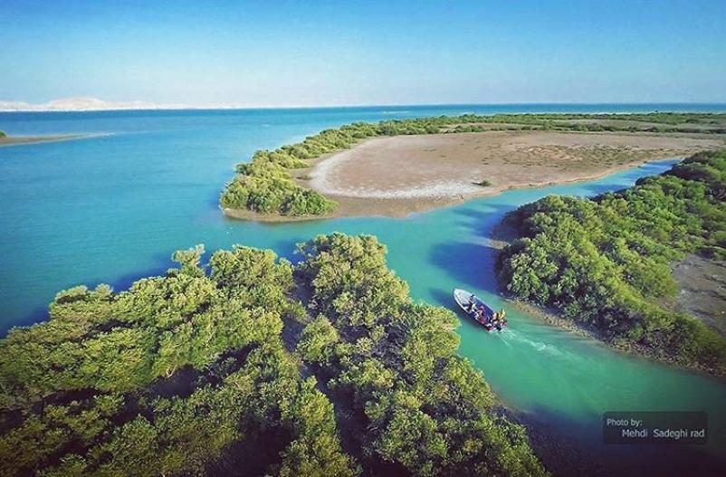 عکس زیبا از جنگل مانگرو و دریای نیلگون خلیج فارس ، هرمزگان