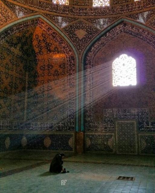 Sheikh Lotfollah Mosque great architecture in Isfahan