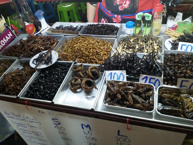 Insects, Arachnoids and Scorpios for dinner. Delicious. Bangkok
