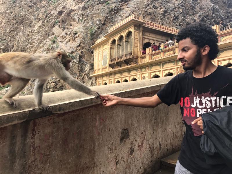 Monkey Temple, Jaipur, India ❤🌏