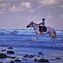 اسب سواری در ساحل رامسر ، مازندران