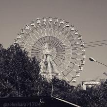 image of چرخ و فلک پارک ملت،مشهد