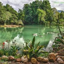 عکس زیبا از دریاچه ی باغ گیاهشناسی نوشهر ، مازندران
