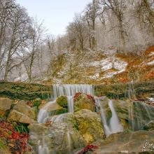 عکس زیبا از زمستان جنگل دالخانی ، مازندران