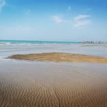 image of عکس از ساحل زیبای بندر دیلم ، بوشهر