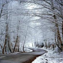 جاده ی زیبای برفی،گیلان
