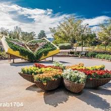 image of عکس گل های زیبا در باغ گیاهشناسی مشهد