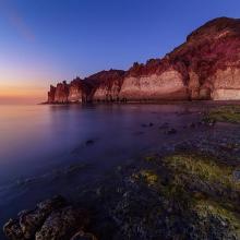 عکسی زیبا از پافیلی در سواحل خلیج فارس،قشم