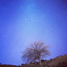 آسمان پر ستاره،فیروزآباد