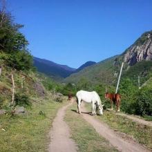 عکسی از مسیر زیبای روستایی،ماسوله،گیلان