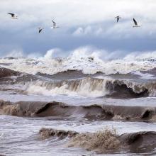 image of یک روز طوفانی در کنار ساحل خزر