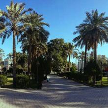 image of عکس زیبا از پارک امانیه اهواز 
