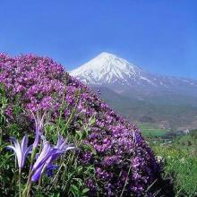 عکس زیبا از بام ایران ، قله دماوند