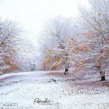 عکس زیبا از طبیعت زمستانی عباس آباد ، مازندران