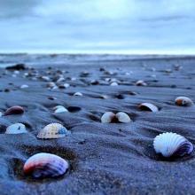 image of عکس زیبا از ساحل زیبای دریای خزر 