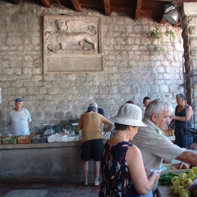Venetian Lion in Kotor